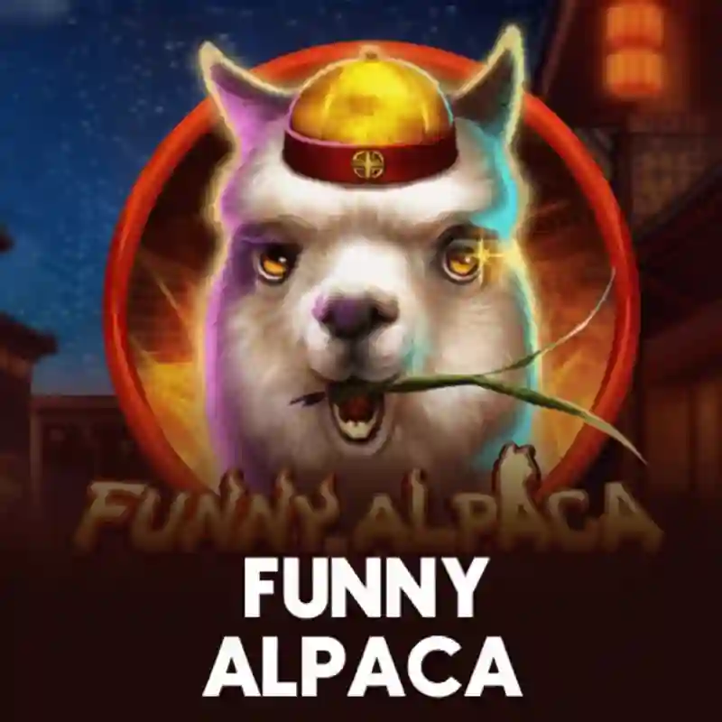 Funny Alpaca